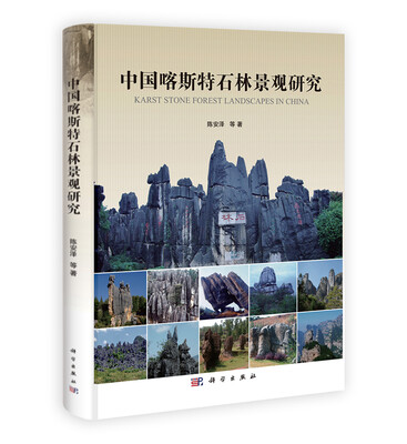 

中国喀斯特石林景观研究