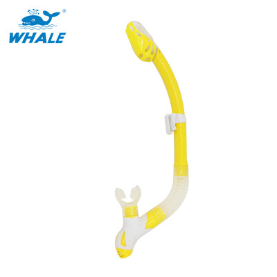 

Whale Brand professional scuba diving equipment breathing tube with 6 colors snorkel with high quality
