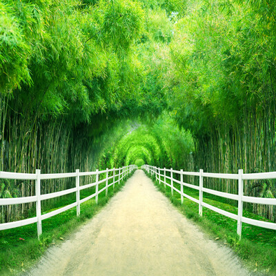 

Custom 3D Mural Wallpaper Modern Simple Bamboo Forest Fence Path Photo Wall Painting Living Room TV Sofa Backdrop Wall Paper 3 D