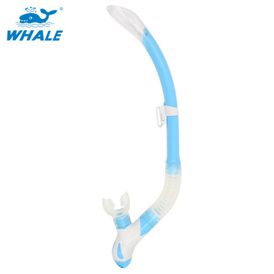 

Whale Brand professional scuba diving equipment breathing tube with 6 colors snorkel with