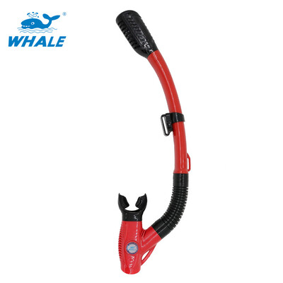 

Whale Brand горячая распродажа профессиональное снаряжение для подводного плавания с подводным плаванием