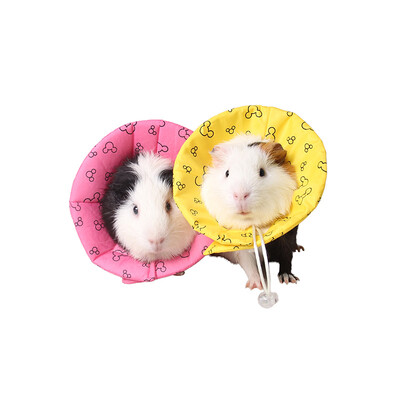 

Small Animal Health Supply Hamster Cute Medical Collar Prevent Biting