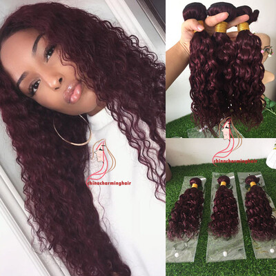 

99j Human Hair Bundles 100 Unprocessed Human Hair Weave 10A Grade Virgin Hair Extensions 99j burgundy wet wavy Weaving 100g