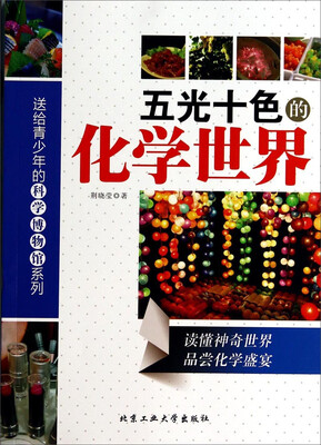 

五光十色的化学世界/送给青少年的科学博物馆系列