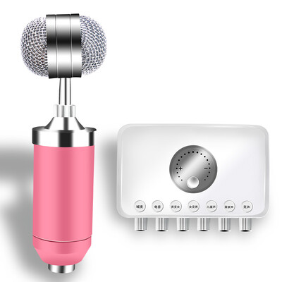 

EARISE H66 External Sound Cards Condenser Microphone Set Mobile Computer Singing Dedicated karaoke Anchor Microphone Mobile Phone Recording Equipment White