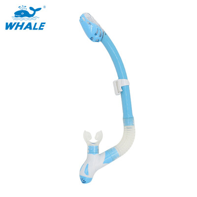 

Whale Brand профессиональное оборудование для подводного плавания с подводным плаванием с трубкой из 6 цветов с высоким качеством
