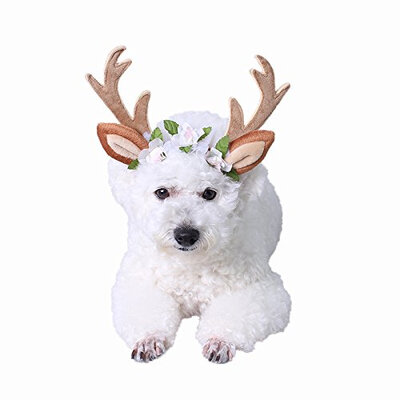 

Pet Accessories Cat Dog Holiday Cute Antler Adjustable Flowers Hat