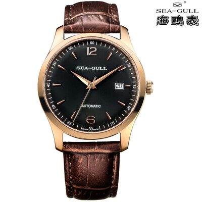

SeaGull The mens automatic mechanical watches D519438
