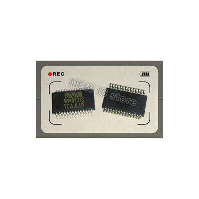 

50pcs/lot IC new original WM8731 WM8731SEDS WM8731S SSOP28 Free Shipping