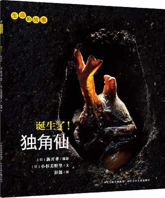 

生命的故事：诞生了！独角仙