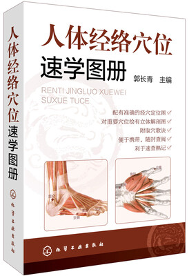 

人体经络穴位速学图册