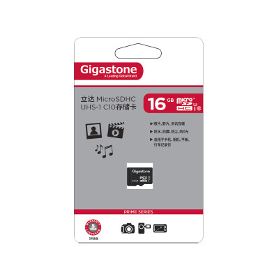 

Карта памяти Rieter Gigastone 16G