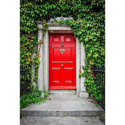 

The Door of Hope Photo Background 57FT Vinyl Fabric Cloth Digital Printing Wedding Backdrop S-3063