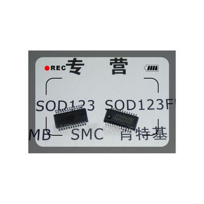 

Free Shipping 20pcs/lot SI4730-D60-GUR SI4730-D60-GU SI4730D60GU 4730D60GU RADIO RX AM/FM/AUX SSOP24 Best quality