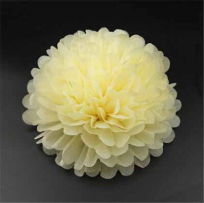 

25cm Craft Paper Tissue Ceiling Decor Wall Decor Hanging Paper poms Flower Ball Wedding Party Outdoor Decoration Flower