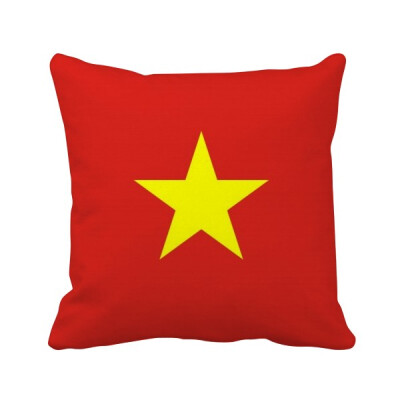 

Vietnam National Flag Asia Country Square Throw Pillow Insert Cushion Cover Home Sofa Decor Gift