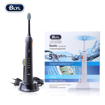 

BLYL Sonic Electric Toothbrush For Adults Rechargeable tooth brush head Oral Health Care
