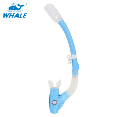 

Whale Brand горячая распродажа профессиональное снаряжение для подводного плавания с подводным плаванием