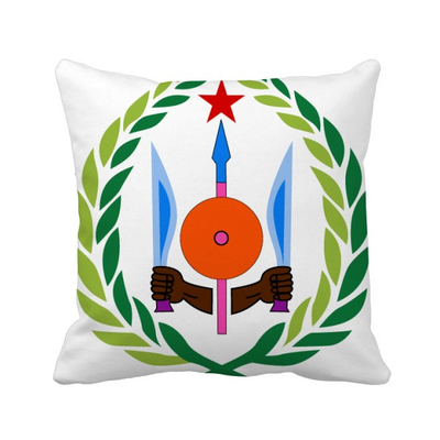 

Djibouti National Emblem Country Symbol Square Throw Pillow Insert Cushion Cover Home Sofa Decor Gift