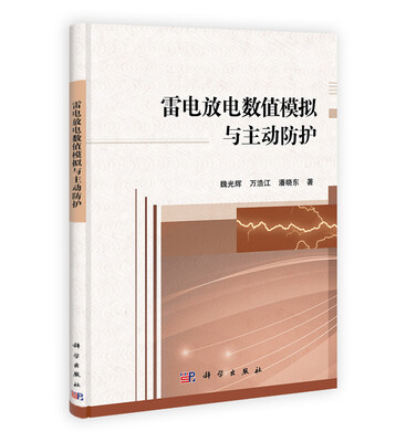 

雷电放电数值模拟与主动防护