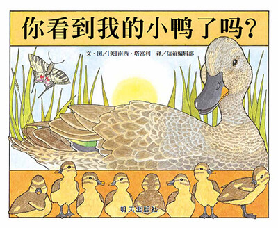 

信谊宝宝起步走：你看到我的小鸭了吗？