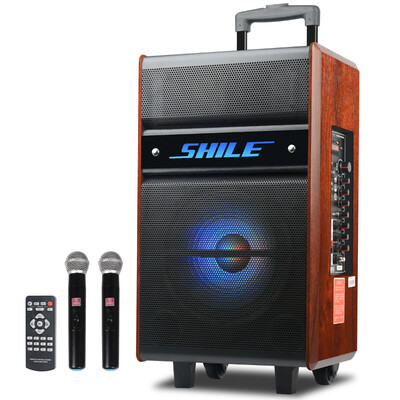 

Lion Music (SHILE) SD-5 15-дюймовый звук высокой мощности с квадратным танцем с Bluetooth-картой USB-плеер с функцией записи для отправки двух беспроводного микрофона