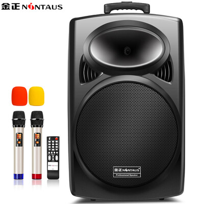 

Jinzheng NINTAUS N29 18 inch square dance stereo Bluetooth bar speakers outdoor portable audio high power subwoofer with wireless microphone U segment loudspeaker