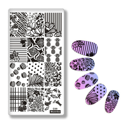 

Mezerdoo Fruit Leaf Pattern Stamping Plate Rectangle Nail Art Image Plate Pineapple Geometry Flower Design Stamp Template C09