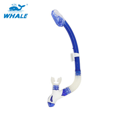 

Whale Brand профессиональное оборудование для подводного плавания с подводным плаванием с трубкой из 6 цветов с высоким качеством