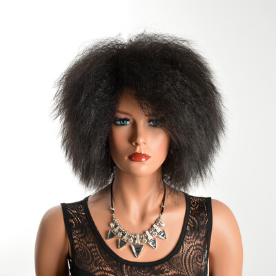 

QianBaiHui Afro Wigs for Black Women Black Kinky Curly Synthetic Heat Resistant Wigs for African American Women with Wig Cap