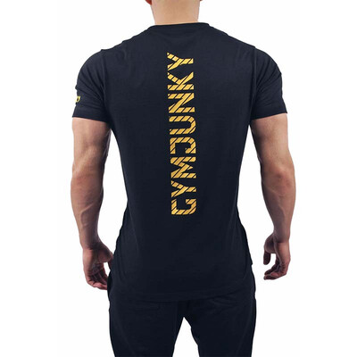 

Mens Short Sleeve T-Shirt Fitness Wear Breathable o neck Pullover Muscle Brother nbyc002
