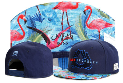 

2018 Летняя шляпа Snapbacks Бесплатная доставка Cayler и Son snapback snapbacks Шляпы за бейсбольным баскетболом Hat Burst Series