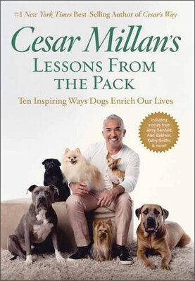 

Cesar Millans Lessons From the Pack Ten Inspir