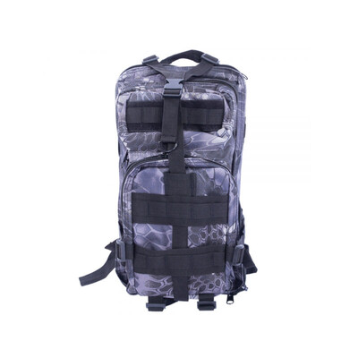 

30L Large Capacity Outdoor Tactical Backpack Hot Sale Pythons Grain Black Bag Travel Pack