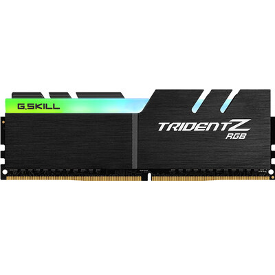 

GSKILL DDR4 3000 8G Desktop Memory C16