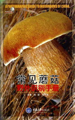 

好奇心书系·野外识别手册常见蘑菇野外识别手册