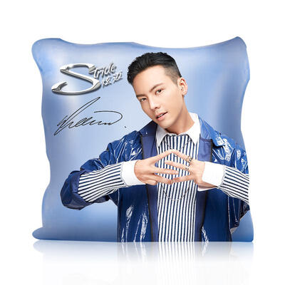 

Hyun Stride Chen Wei Pillow Gift Do not buy