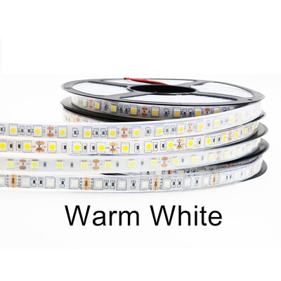 

IP67 IP68 Waterproof LED Strip 5050 DC12V 60 LEDM High Quality Silicon Tube Outdoors Under Water LED Strip