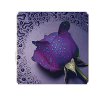 

DIY DIY diamond Embroidery beautiful rose 5D diamond painting of Cross stitch kit living room Needlework set embroidery