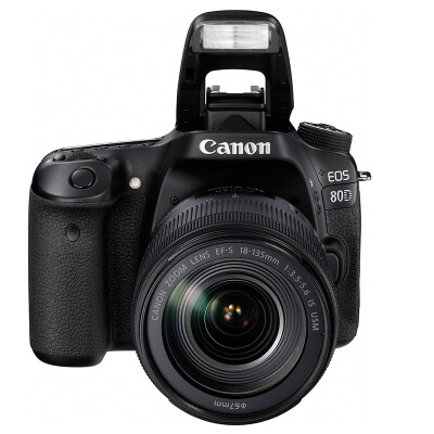 

Canon (Canon) EOS 80D SLR корпус