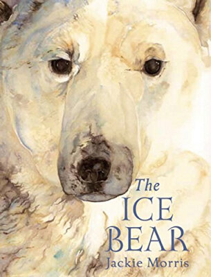 

The Ice Bear Mini Edition