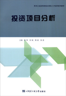 

投资项目分析