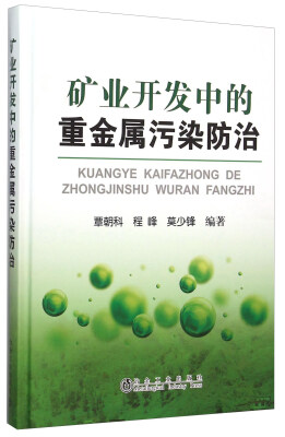 

矿业开发中的重金属污染防治