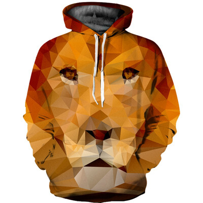 

QL-527 Mens Hoodie 3D Printed Women Pullover Sweater