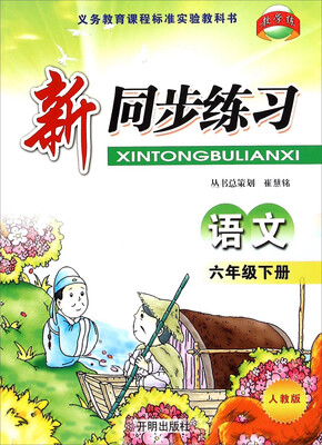 

新同步练习：语文（六年级下 人教版）