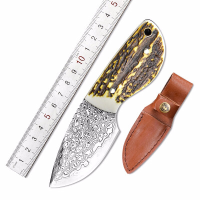 

CHACHEKA Mini Portable Damascus Steel Blade Small Straight Knife Exquisite Ox Horn Handle EDC Tools with Good Leather Sheath