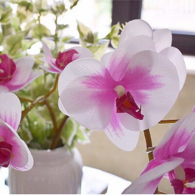 

Real touch 2forks 13heads artificial silicone butterfly orchids wholesale large flowers wedding decorative Phalaenopsis 2pcs