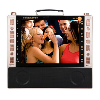 

Portable bluetooth speaker FM radio 19 inch HD screen karaoke video theater machine card U disk player MP3 karaoke play audio