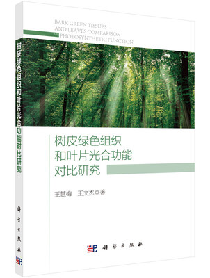 

树皮绿色组织和叶片光合功能对比研究
