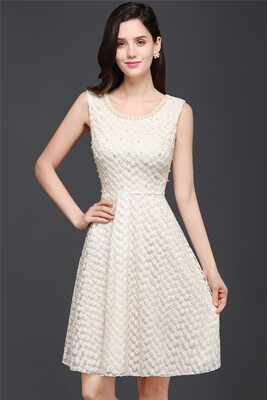 

Princess Scoop Neck Knee-Length Lace Sexy Prom Dress